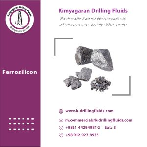 الفيروسيليكون